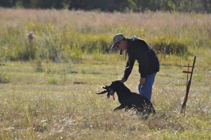 man with dog in field