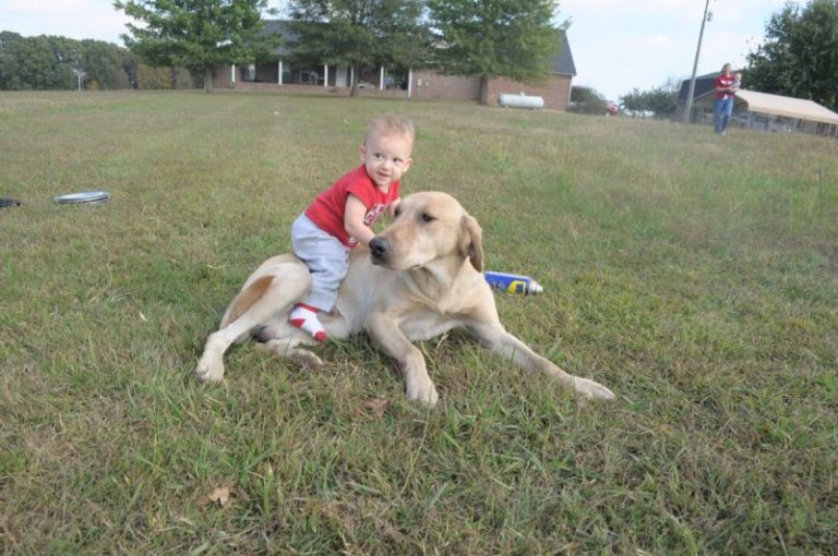 small child with dog