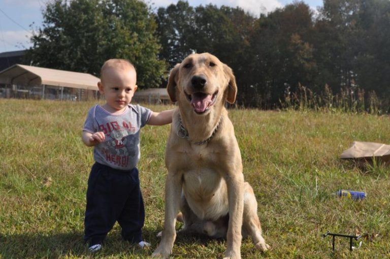 small child with dog