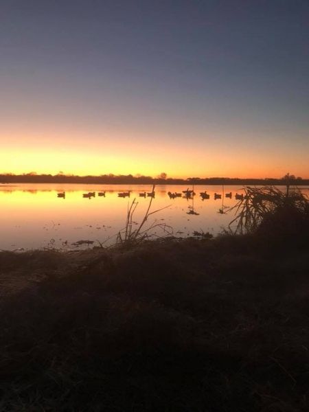 sunrise over duck hunting ground. Ducks on pond.