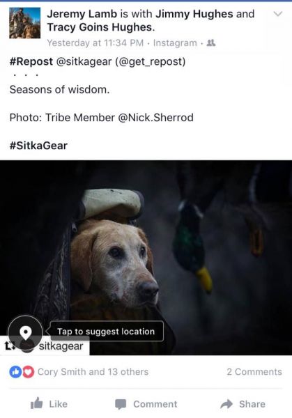 dog in blind with dead ducks overhead entitled the season of wisdom