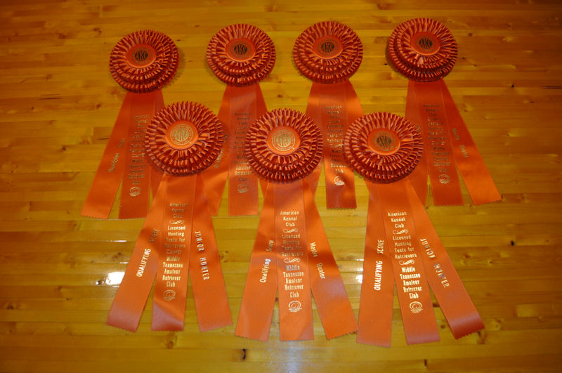 qualifying ribbons for the dogs