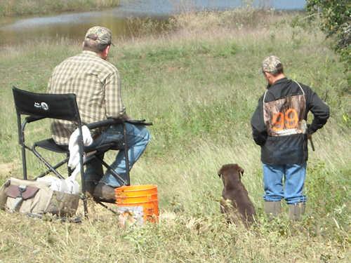 two men with guns and dog near pond. Bird hunting.