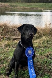 dog with award posing in front of pond