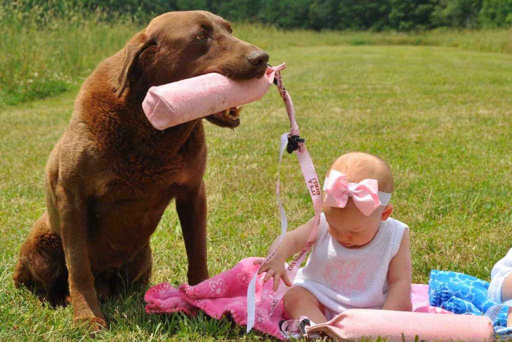 dog with pink girl thing next to baby