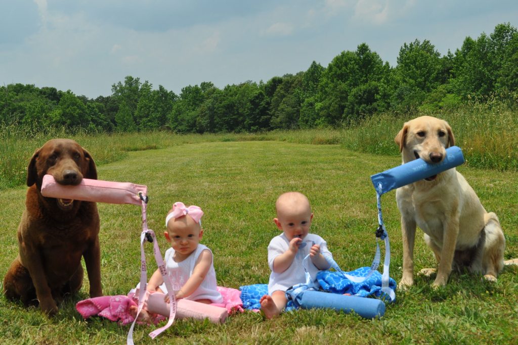 two dogs holding boy and girl things and childern